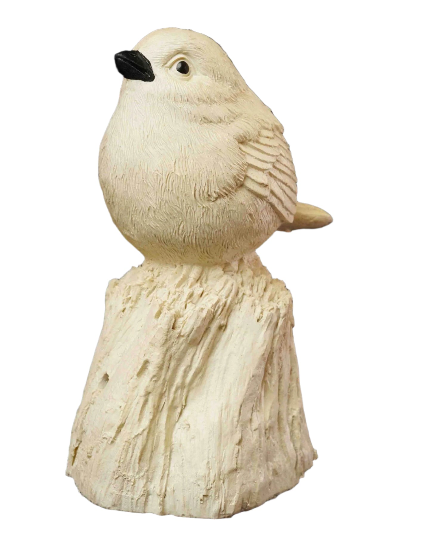 White Large Singing Sparrow