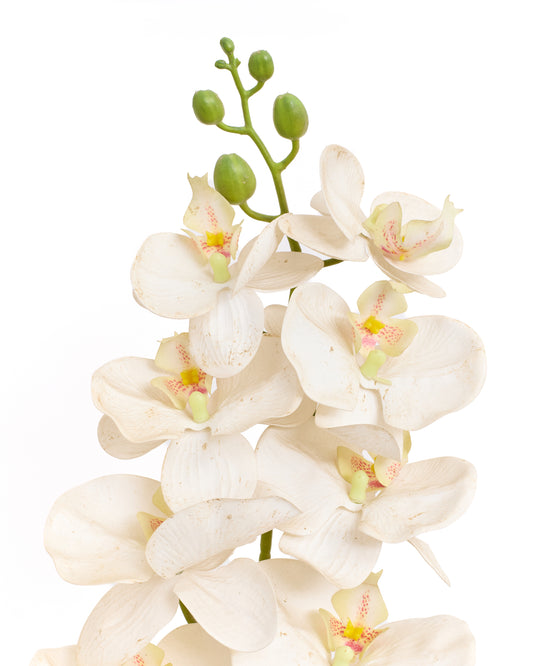 Artificial Cymbidium Flower